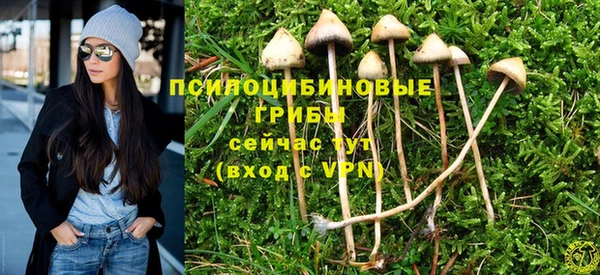 меф Алексин
