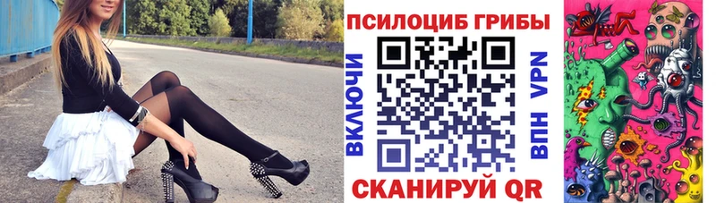 Галлюциногенные грибы мицелий  купить наркотик  Наволоки 